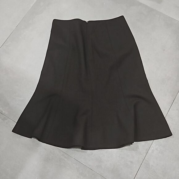 The Limited Skirt - Picture 2 of 3
